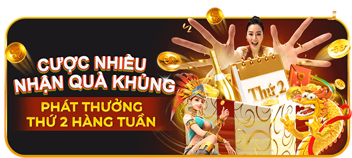 Tổng quan đặc quyền f16878 VIP